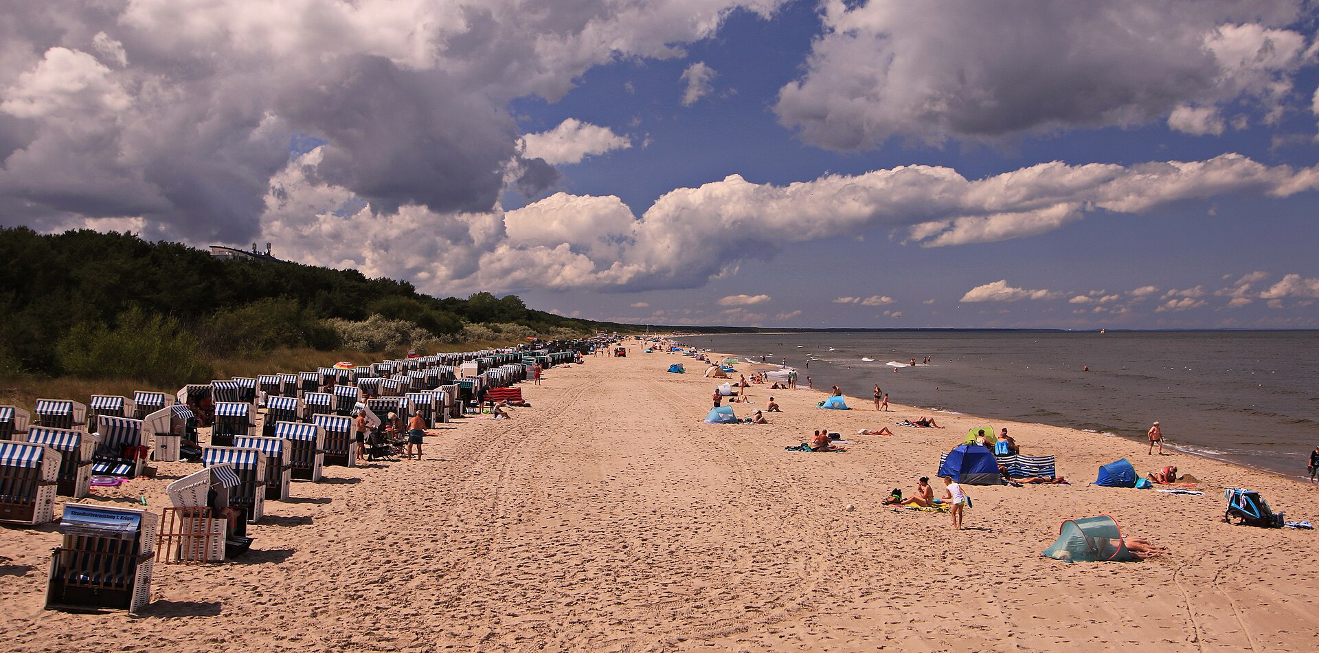 Strand von Zinnowitz mit Strandkörben und bewaldeter Düne